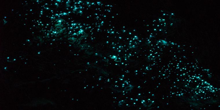 bioluminescence-glow-worms-in-a-dark-cave-760x380 bioluminescence, glow worms in a dark cave