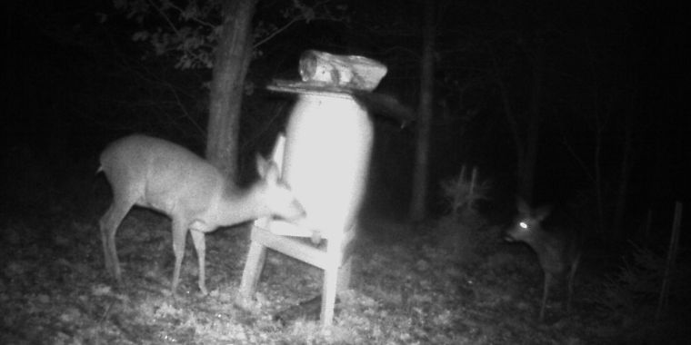 a deer through night vision goggles